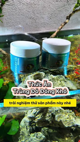 Cá Nhà Bạn Sẽ Thích Mê Trùng Đỏ Đông Khô #methuysinh #aquarium #fish #fyp