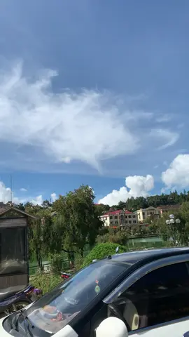 Truy tìm bọn Miêu nữ🤣