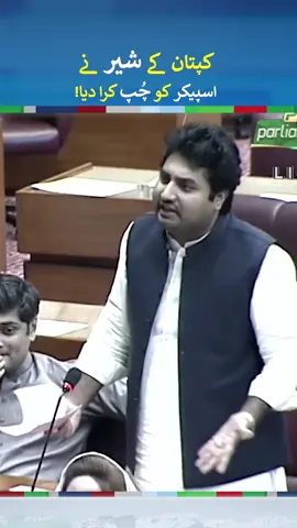 PTI MNA Mubeen Arif Blasting Speech In National Assembly | #mubeenarif #imrankhan #fyp #foryou #foryoupage #fypシ゚viral #fypage #whattowatch #neonews