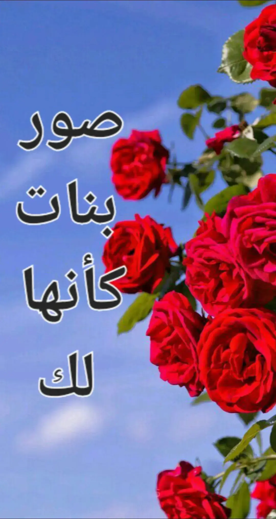 #بنات #محجبات #حجاب #صور #بروفايل #تكتوك #ترند_تيك_توك 
