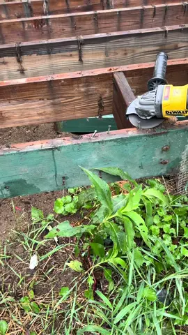 Stop wasting your time and effort trying to rip screws out of deck joist it weakens the joist and requires a lot more effort than zipping them off with a grinding wheel.  ##remodel##constructiontok##homerenovation##Home###design##entrepreneur##interiordesign##hardwork##woodworking##renovation##homedecor##tools##DIY##carpentry##work ##homemade##remodeling##hgtv
