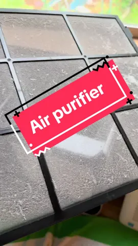 If you have pets in your home you need to get this #AirPurifier! #petowner#birddad#birdmom#homehealth#indoorairquality #birdowner #parrotmom #parrotlife 