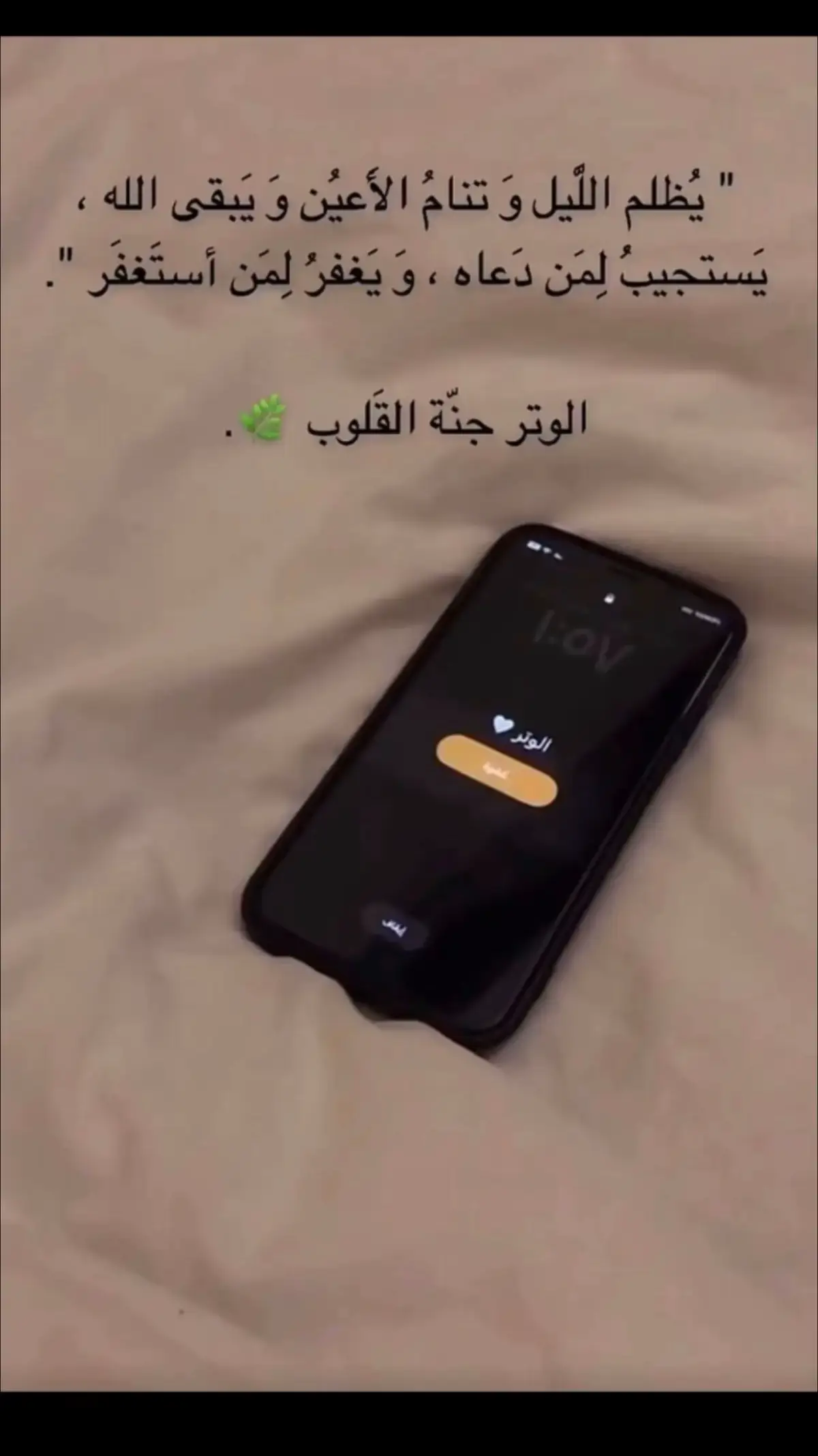 #الوتر_جنة_القلوب 