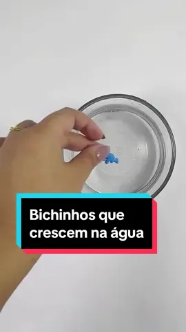 Brincando com bichinhos que crescem na água #brinquedo #infantil #presente #brincadeira #crianca 