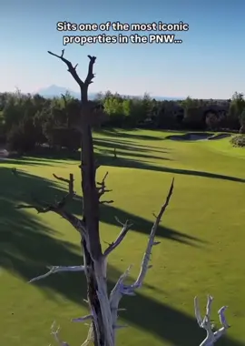 Hard to beat the beauty of Pronghorn Golf Course #foryou #golf #golftiktok #PGATOUR #oregon @pronghornresort 