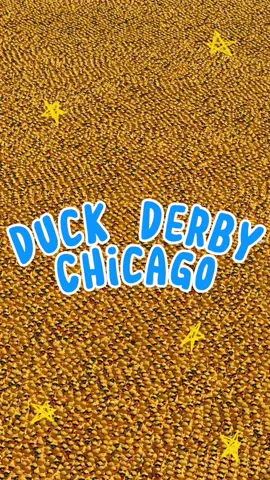 Chicago Ducky Derby 2024 🐤💛✨  #chicago #duckderby #thingstodoinchicago #duckrace #creatorsearchinsights 