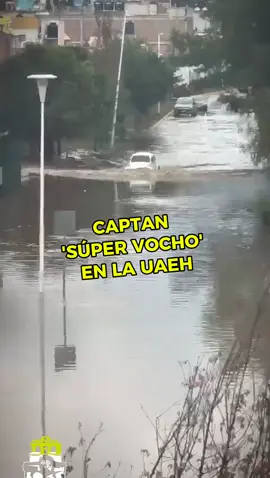 Un 'súper vocho' mostró su poder tras las intensa lluvia en la zona metropolitana de #Pachuca 🚗