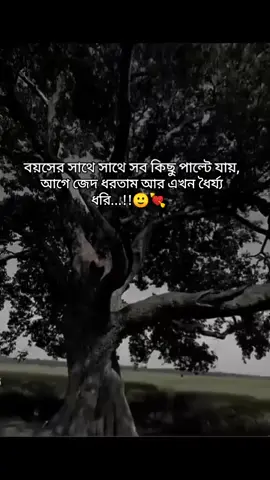 #foryou #foryoupage @🥰আম্মুর একমাত্র রাজকন্যা 🥰 @🍀_ 𝐑𝐢𝐟𝐚𝐭'𝐬_𝐖𝐢𝐟𝐞_🍀 @জাতির_ BTS 