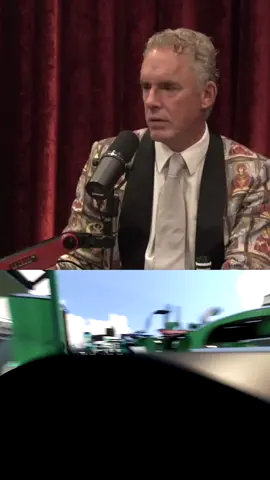 Does responsibilty spark true adventure? #jre #jreclips #podcasts #jordanpeterson