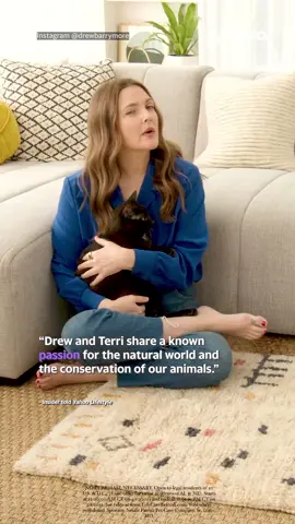 #Hollywood star's surprising #Aussie move after 'business meeting' with #TerriIrwin #drewbarrymore #yahoonews #yahooaustralia