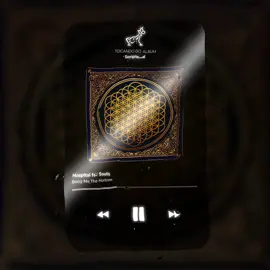 set my world ablaze, watch me burn #hospitalforsouls #bringmethehorizon #sempiternal #lyricfoxx363__ 