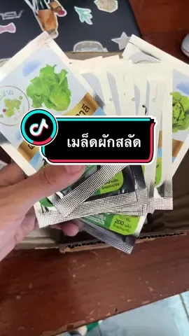 มือใหม่ ก็เพาะได้ง่ายมาก #ผักสลัด #ผักสลัดแปลงดิน #ปลูกผักกินเอง #ผักสลัดไฮโดรโปรนิกส์ #ผักสลัดปลอดสารพิษ 