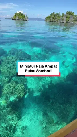 Keindahan Miniatur Raja Ampat di Sulawesi, Pulau Sombori. Terumbu karang yang eksotis, birunya warna laut, bening bagaikan kristal, sehingga tempat yang indah untuk snorkeling maupun diving disini. #beautifuldestinations #somboriisland #rajaampat #wonderfulindonesia #fyp 