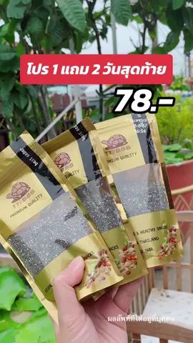 เมล็ดเจียตราเต่า #ดีบอกต่อ #เมล็ดเจีย #เมล็ดเจียตราเต่า 