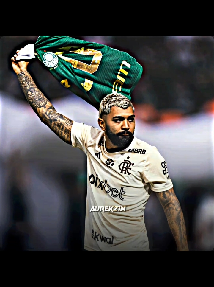 Gabigol é do Palmeiras!🐷💚 #gabigol #palmeiras #futebol #flamengo #fyp 