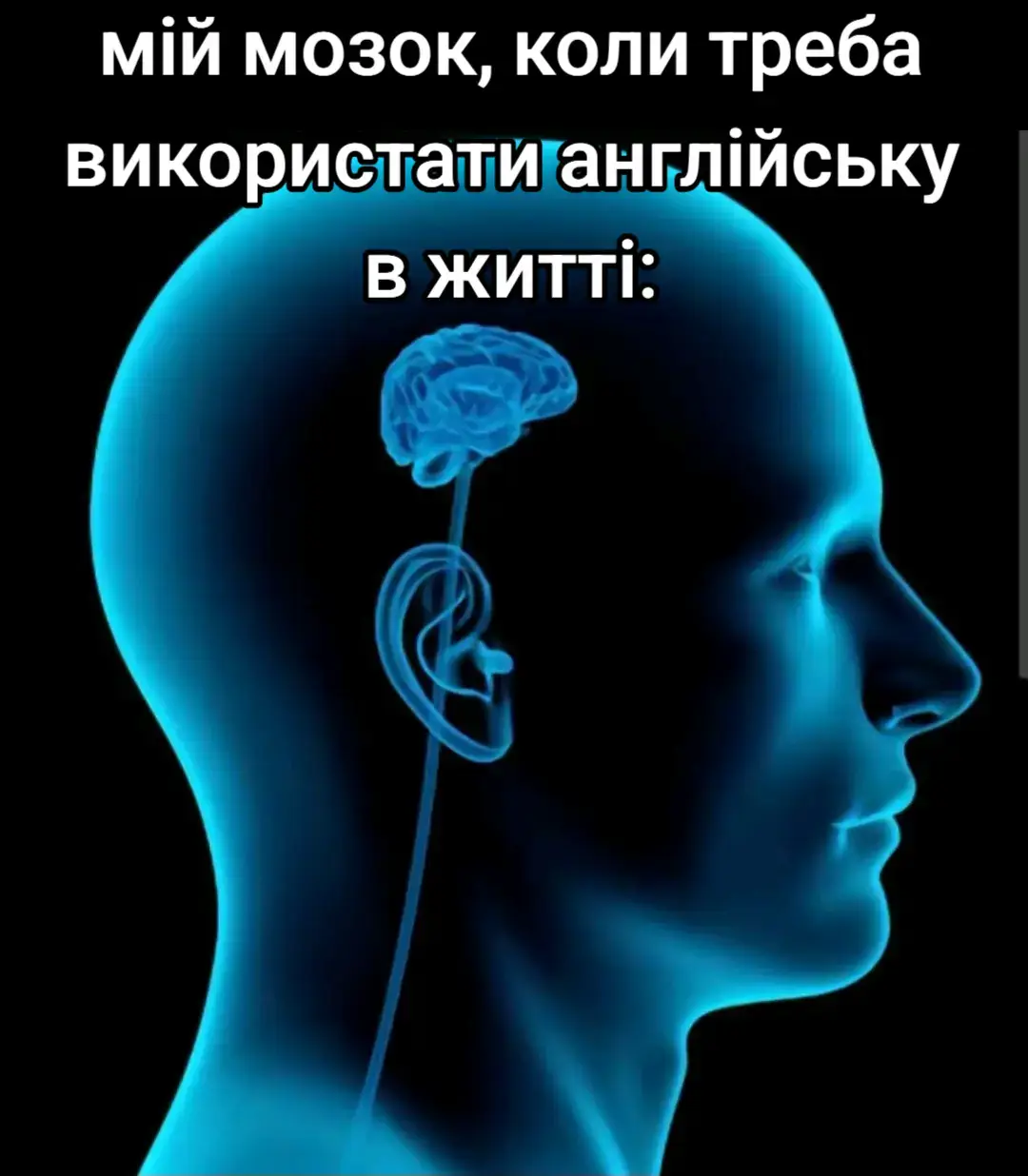 overthinking before sleep goes crazy #englishteacher #english #англійськамова #англійська #репетиторзанглійської #englishtutor #вивченняанглійської  #aesthetic #learninglanguages #memes 