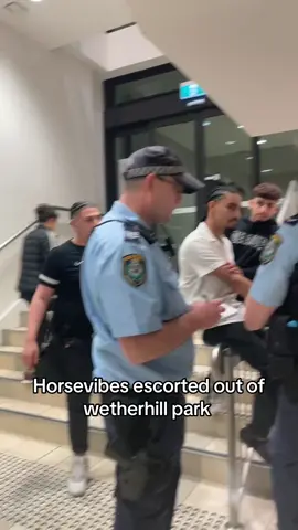The way his sitting 😭😭🙂‍↕️🙂‍↕️ #fyp #police #viral #greenscreenvideo #sydney #blowthisup #horses #funny #horsevibe 