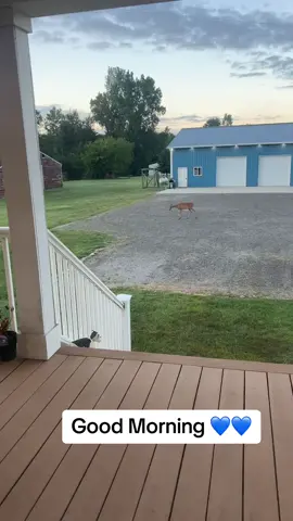 #goodmorning #deertiktok #fawnseason 