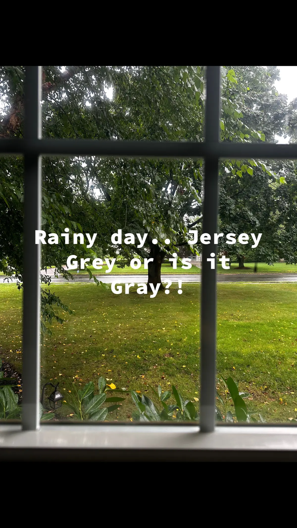 It is  kersey Gray or grey day. This weather is very unmotivating. What do uou do on rainy days that you have off?? I have a very hard time sitting down and relaxing I am always on the go or soing a projext. I thinks its my ADHD.. because I never seem ti finish them either #MomsofTikTok #teamworkmakesthedreamwork #teamwork #trending #rainy