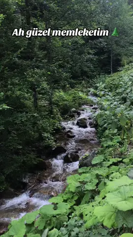 #karadeniz #memleket #karadenizşarkıları #güzelkaradeniz 