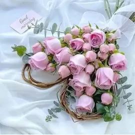 Beautiful Morning Messages images  💕  #GoodVibes  #goodmorningimages #Goodmorning 