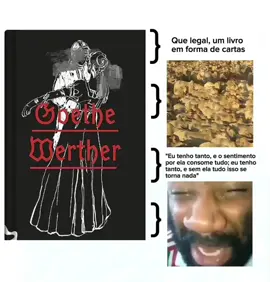 Os sofrimentos do jovem Werther 💌 . #livros #viral #fyp #meme #goethe #literatura 