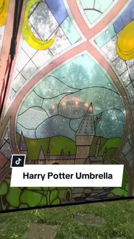 Harry Potter Umbrella. 🏰🧜🏼‍♀️⚡️ From @Aftercolor #harrypotter #harrypottertiktok #umbrella #rain 
