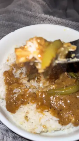 Is Green Beans, Rice & Gravy a whole meal or do you need meat?  #EMarieEats #MyPotsAlwaysClickin #Spices #TikTokFood #Foodie #FoodTok #fyp #fypシ゚viral #GreenBeans 