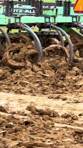 Turning Dirt 
