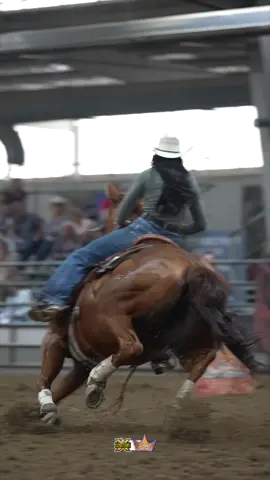 Smooth N Fuzzy💕 #Asmoothguy #DashTaFame #fyp #foryoupage #Utah #rodeo #Royalcrown #derbyhorse 