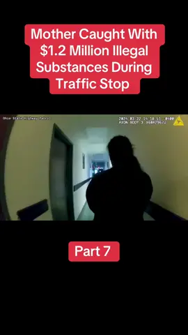Mother Caught Traveling With $1.2 Million Worth of Illegal Substances  #trafficstop #cop #mother #fyp #viral #usa #copsoftiktok 
