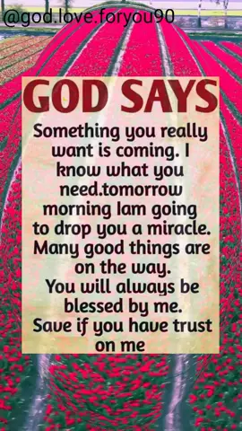 a6459a8bb9#pray#jesus#blessings#jesuloveyou💖😇🙏🏼#fyp#foryou