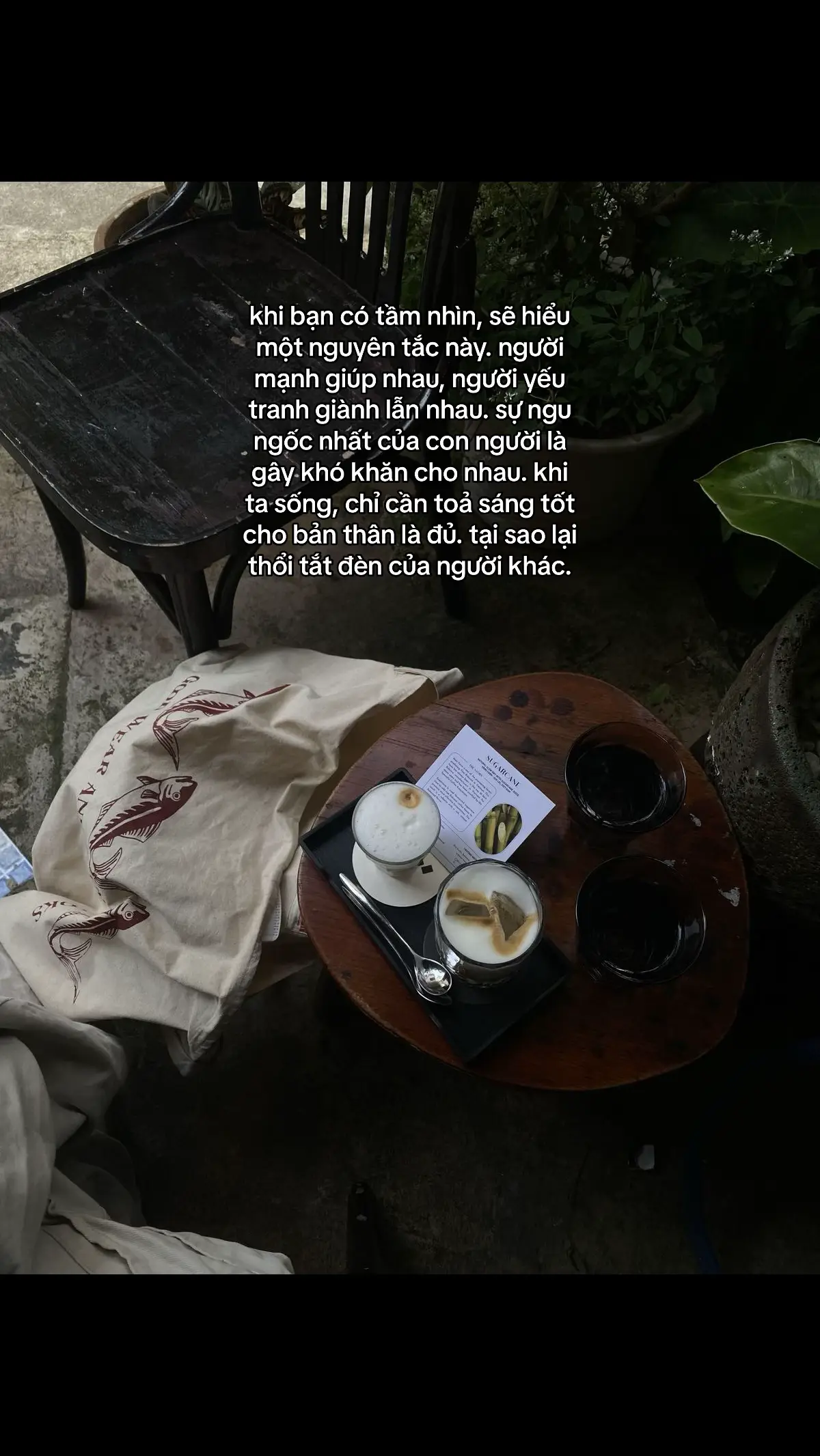 nguồn Higo Chan  #caption #captiontamtrang #story #foryou #fyp #fyb #fypシ #xuhuong #xh 