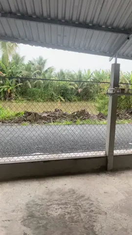 Người ơi Em nhớ chăng hôm nào 🥹🥹!!