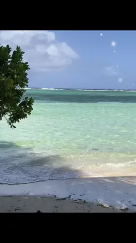 #Home #Island #islandgirl #palau #micronesian #oceania #pacificislander #palautiktok #travel #paradise #ocean 