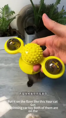 Interactive Cat Spinning Windmill Toy | Engage Your Cat in Endless Fun & Self-Play #pet #cat #catlover