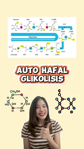 gliserat & piruvat wajib teriak!📢  lirik lagu Glikolisis: Glukosa, Glukosa 6-fosfat, Fruktosa 6-fosfat, Fruktosa 1,6-bisfosfat, G3P (glyceraldehyde-3-phosphate) atau PGAL (fosfogliseraldehid), 1,3-bisfosfogliserat, 3-fosfogliserat, 2-fosfogliserat, Fosfoenolpiruvat, Asam piruvat nada lagu balonku ada lima🎈 #glikolisis #IPA #kimia #biologi     #kedokteran #medschool #medstudent @Bimbel Kedokteran Vosmed 