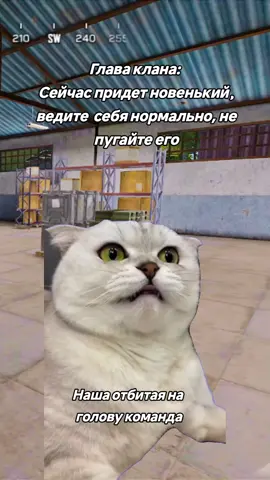#codm #cod #callofduty #clan #команда #рек #GamerGirl 
