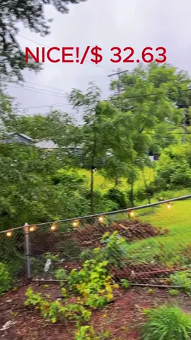 Outdoor 100ft LED Lights Strings, Vintage Bulb Design Ambient LED Lamp, Waterproof LED Light String, Dimmable Garden Lights (Dimmer Not Included), Outdoor Lights for Garden, Yard, Patio Decor, Lights for Bedroom