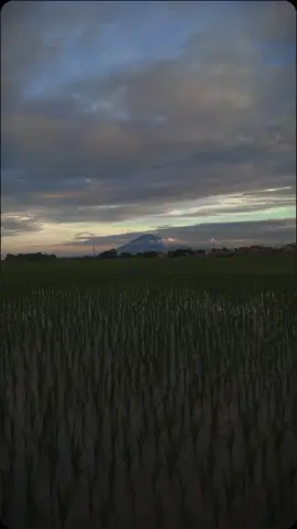 #CapCut #video #tiktok 