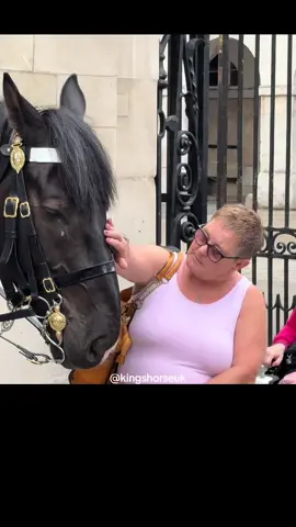 Even with the  new signs to  stop tourists from touching the horses some still do not listen    #fyp #foryou #viral #foryoupage #donttouchthereins #london #kingsguard #horseguardsparade 