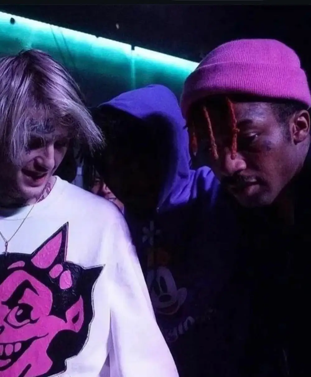 #lilpeep #lilpeepliltracy #lilpeepdailyfanpage #liltracy #fypシ゚ #lilpeepforever #gustavelijahåhr #crybaby 