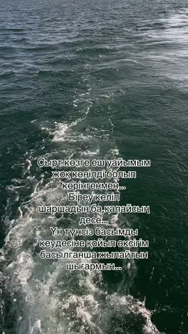 #шаршадым #рек #рекомендации 