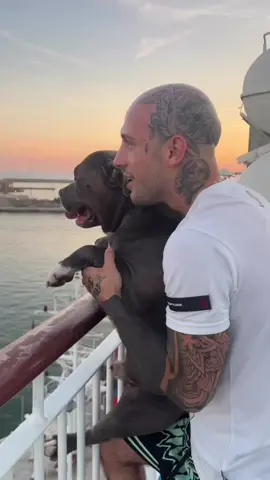 Mino sto volando 🛳️🐶🐟