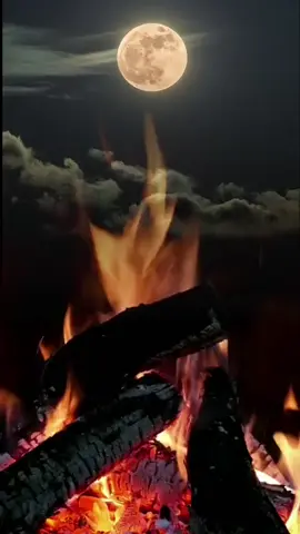 #qaaraami_♫