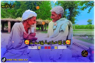 #یاری #بیلی_نسلی_قبراں_تائیں_ھوندن♥️🥰 #newsongreleaze #fyp #viral 