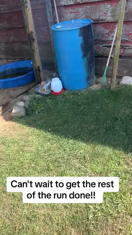 #chickens 