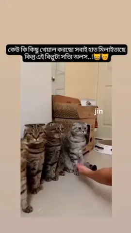 মাসুদ মার্কা বেডা একটু বেশিই হাত মিলাইছে😄#foryoupage #fypviralシ #bts_bighit_official #kimreshi #bdtiktokofficial #unffizzmyacount #unffizzmyacount🙏🙏 #foryou #fyp #Trending Viral Video Tiktok 