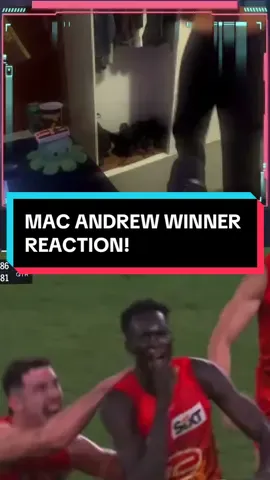 MAC ANDREW WINNER REACTION #afl #fyp #sports #footy #foryou #viral #hawthorn #alwayshawthorn #hawthornfc #always #gopies #godons #geelongstrong 