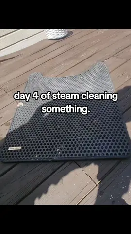 gross kitty litter mat. #creatorsearchinsights #steamcleaner #cleaning #clean #CleanTok #housecleaning #deepclean #clenaingtips #cleaner #handheldsteamer #tiktokshop #tts #fypシ゚viral #imadethis #creatorsearch #creatorinsights 